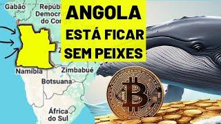 Barcos Estrangeiros roubam peixe em Angola | Queda no Preço do Bitcoin Deve Preocupar a África