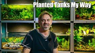 Planted tanks my way - Low tech, low cost and green