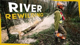 We’re chainsawing healthy trees into rivers - here's why