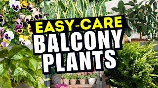  BRING LIFE to Your Balcony! 10 EASY-CARE Plants for STUNNING Views 