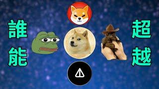 「它」將超越 DOGE 狗狗幣？盤點幾個潛力迷因幣對手（PEPE、SHIB、NOT、PNUT）【移幣知利】