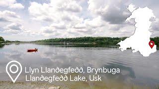 Llyn Llandegfedd, Brynbuga | Llandegfedd Lake - 1 Hour Chill Cymru