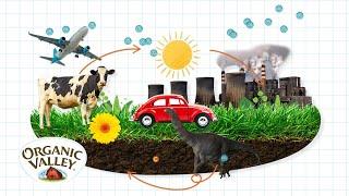 Carbon Sequestration Explained | Ask Organic Valley