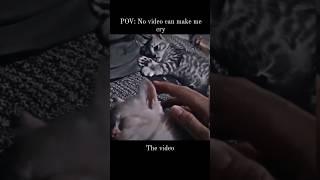 POV: No video can make me cryThe video #funnyads #funny #trending #funnylove #love