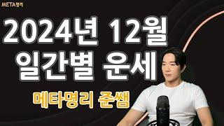 [메타명리 준쌤] 2024년 12월 병자월 일간별 운세