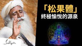  松果體：超越你所知一切的快樂源泉 | Sadhguru (薩古魯)