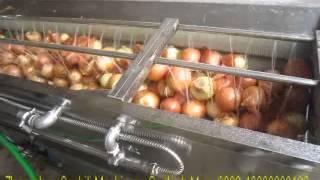 onion washing machine