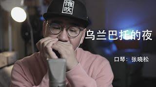 【Harmonica】蓝调口琴的音色太适合《乌兰巴托的夜》