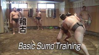 Basic Sumo Training [稽古] - SUMOPEDIA