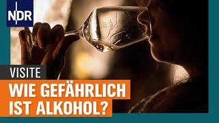 Alkohol und Gesundheit: Wie gefährlich ist das Trinken wirklich? | Visite | NDR