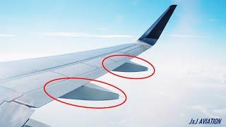 What are these structures installed on an Airplane & Why are they installed?