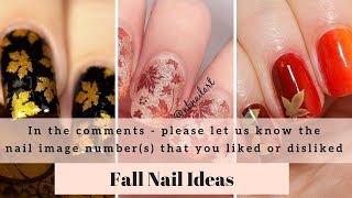 Fall Nails - 200+ Picture Ideas - Fall Season Nail Polish Ideas, Fall Colors Nails Acrylic 2019