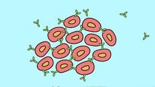 How to Sort Cells: The Flow Cytometry Facility at USC Stem Cell