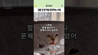 “결혼 전 동거 꼭 해봐야 하는 진짜 이유! 충격 실화”