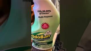 I wish everyone sprayed fresh OdoBan post using the bathroom