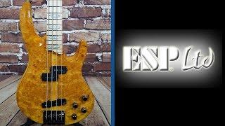 ESP LTD RB-1004 Burled Maple Bass Guitar Honey Natural - Manchester Music MIll