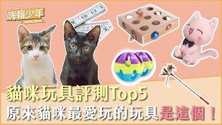 【嗨賴少年】貓咪玩具評測Top5，原來貓咪最愛玩的玩具是這個！ft.奶蓋,可可