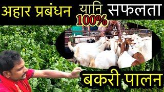 कम खर्च में कमाई ज्यादा बकरी पालन एक मात्र रास्ता/kushwaha goat farm umesh kumar/Goat Farming idea