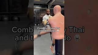 Muay Thai x taekwondo combinations