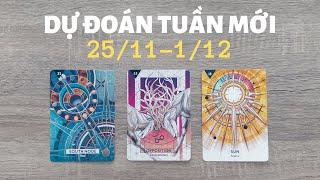 Dự đoán tuần mới 25/11-1/12️️ | Chọn tụ bài Tarot