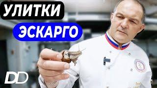 ВИНОГРАДНЫЕ УЛИТКИ ИЛИ ЭСКАРГО ПО-БУРГУНДСКИ! ГДЕ СОБИРАТЬ И КАК ПРИГОТОВИТЬ ФРАНЦУЗСКИЕ УЛИТКИ!