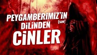 Peygamberimiz'in (sav) Dilinden Cinler