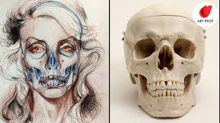 Strange Anatomy Practice: Drawing a Skull Inside a Portrait for Beginners