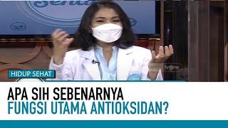 Fungsi Utama Antioksidan untuk Tubuh Kita | Fakta Mitos