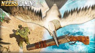 A Seagull Stole My Shotgun!!! - NeebsGaming