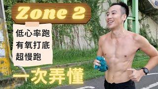 一次弄懂 Zone 2 訓練、低心率、超慢跑，讓你提高燃脂效率又長壽