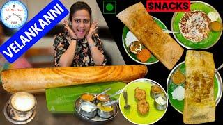 Velankanni Pure Veg Restaurant | Longest Crispy Dosa | South Indian Breakfast at Saravana Bhavan 