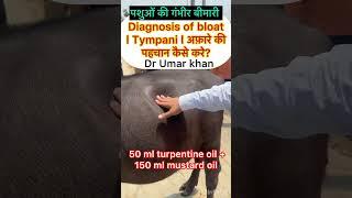Treatment of bloat l Tympani l dr Umar Khan