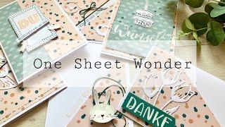 One Sheet Wonder mit einem 30x30 Papier von #craftsensations• Action