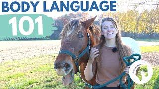 READING HORSE BODY LANGUAGE & BEHAVIOR