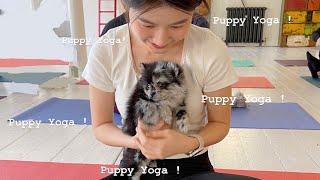 倫敦 Vlog - 終於去了Puppy Yoga !  原來有狗狗瑜伽這麼可愛的課程