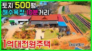 (0645) 1억대 전원주택/농가주택 텃밭 정원 토지 500평 이상의 잘가꾼 남향집