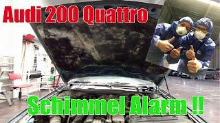 Audi 200 Quattro //  Schimmel Alarm !!! // Christen & Denoth Automobile