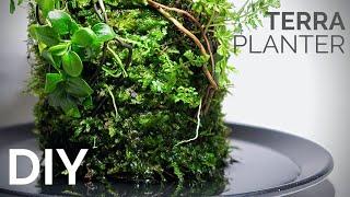 DIY Terra Planter anyone can build