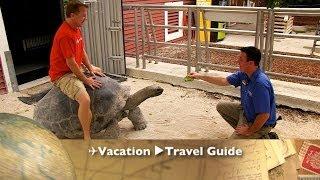 Miami Jungle Island Travel Guide