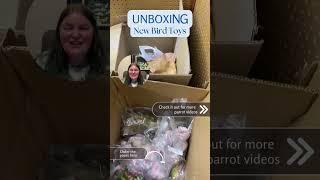 Bird Toy Unboxing! 