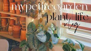 December Plant Care | Life Vlog ️️ plant chores 🪴 cozy book chat  new plants 