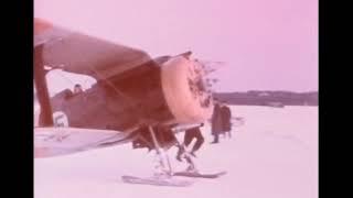 Original color footage of a similarly colorful selection of WWII Finnish Air Force planes