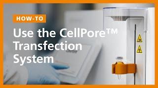 How To Use the CellPore™ Transfection System