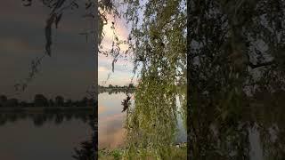 7 мая 2025 г.