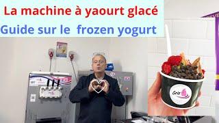 la machine à yaourt glacé :  le frozen yogourt  + recette de yaourt glacé