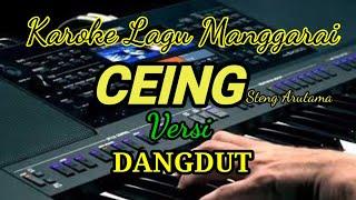 Karoke Lagu Manggarai_CEING_Steny Arutama (Dion Emot)