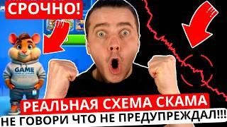 ️ HAMSTER KOMBAT - УЖАС  РЕАЛЬНАЯ СХЕМА СКАМА ХОМЯКА  ПОТОМ НЕ ГОВОРИ ЧТО ТЕБЯ НЕ ПРЕДУПРЕЖДАЛИ!