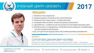 Коняев С. В. в УЦ «Зоовет» | Инфекционные заболевания, ч.1