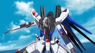 GUNDAM SEED DESTINY " Reason "