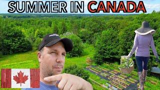 Summer on a Canadian Homestead